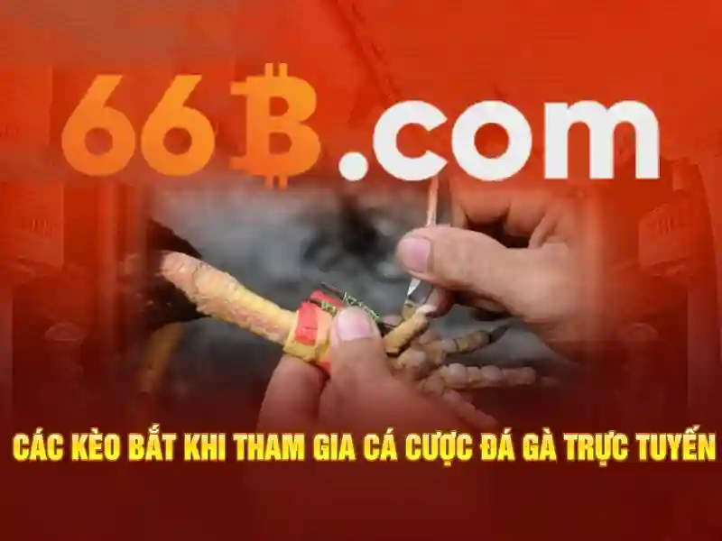 66b: Khái niệm, thông số và tiềm năng của mô hình ngôn ngữ 66b