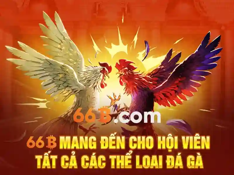 Giao diện nhà cái hoàn hảo