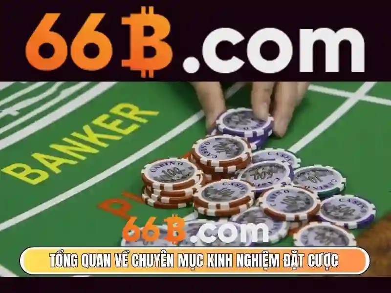 Giao diện nhà cái hoàn hảo