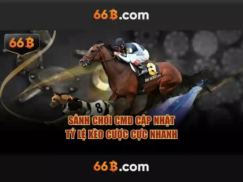 66b và những câu chuyện đằng sau con số