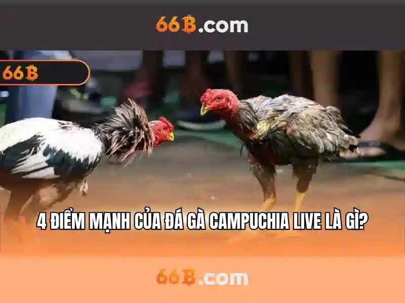Giao diện nhà cái hoàn hảo