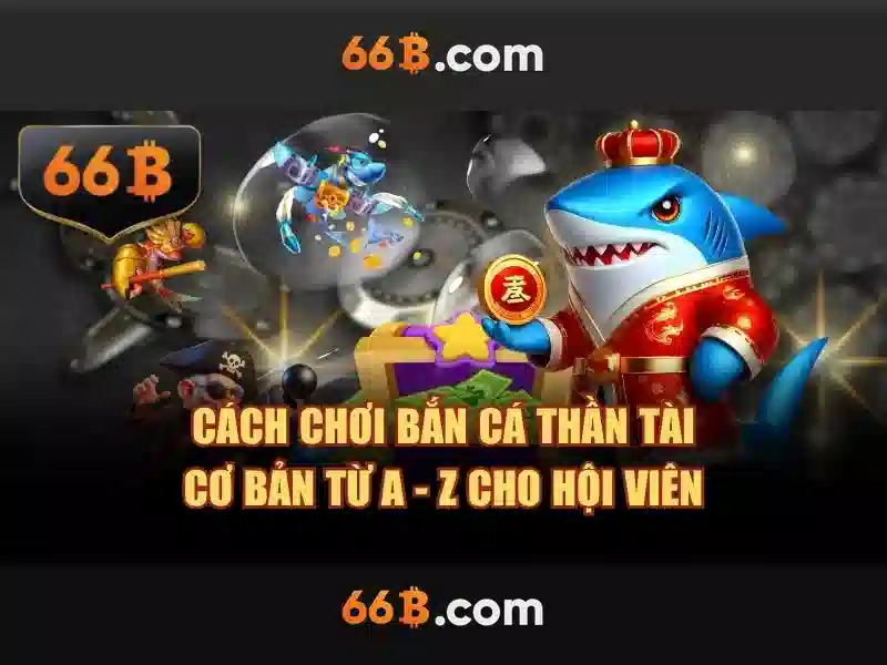 Tương lai của 66B và vai trò của nó