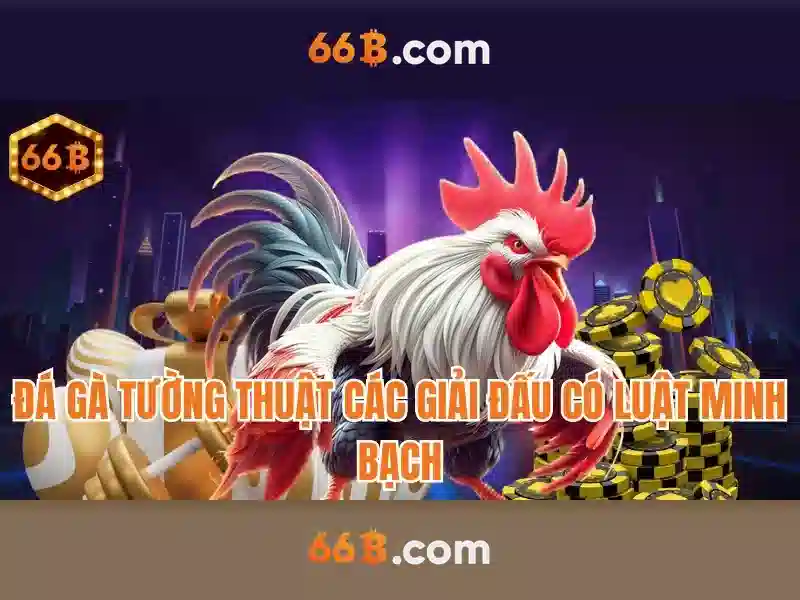 Giao diện nhà cái hoàn hảo