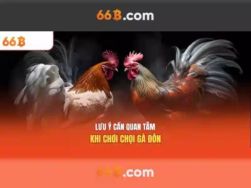 66b là gì?