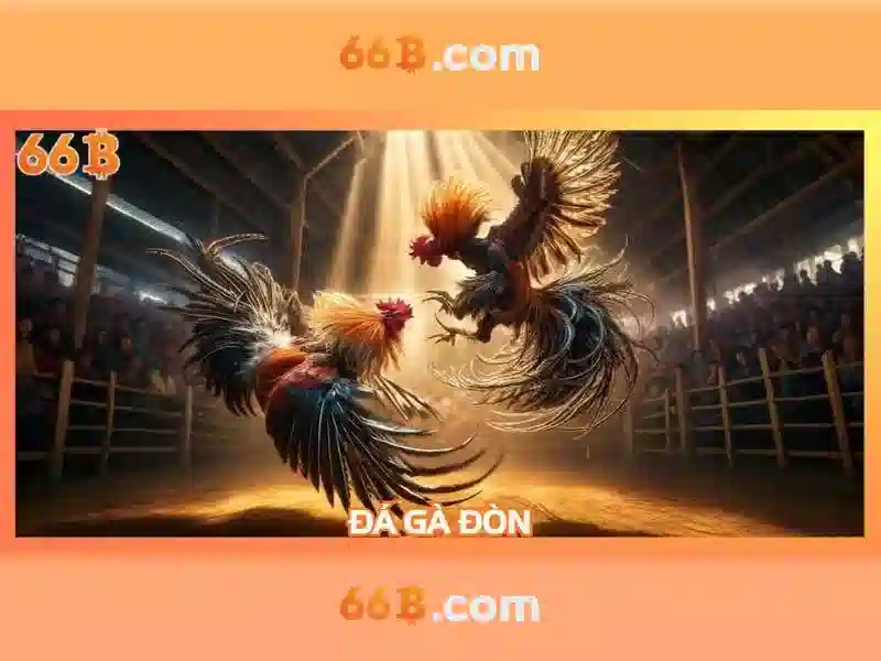 Giao diện nhà cái hoàn hảo
