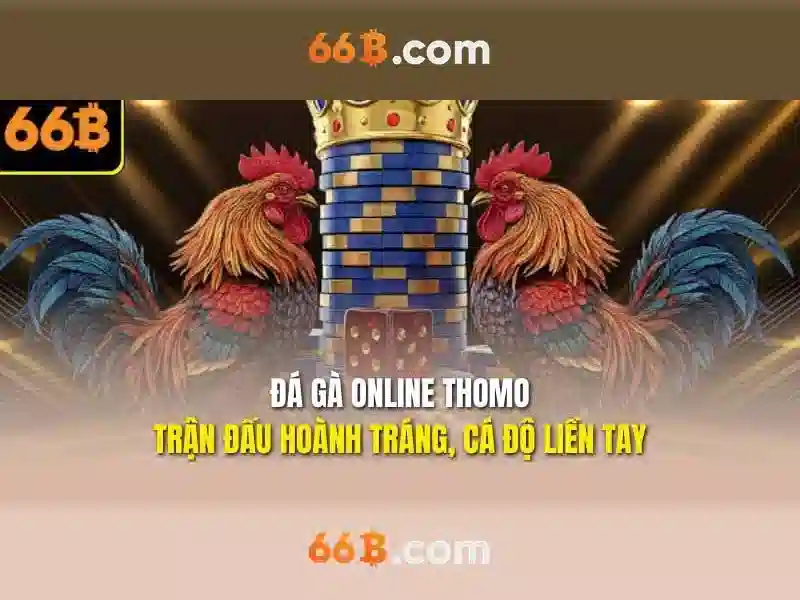 Giao diện nhà cái hoàn hảo