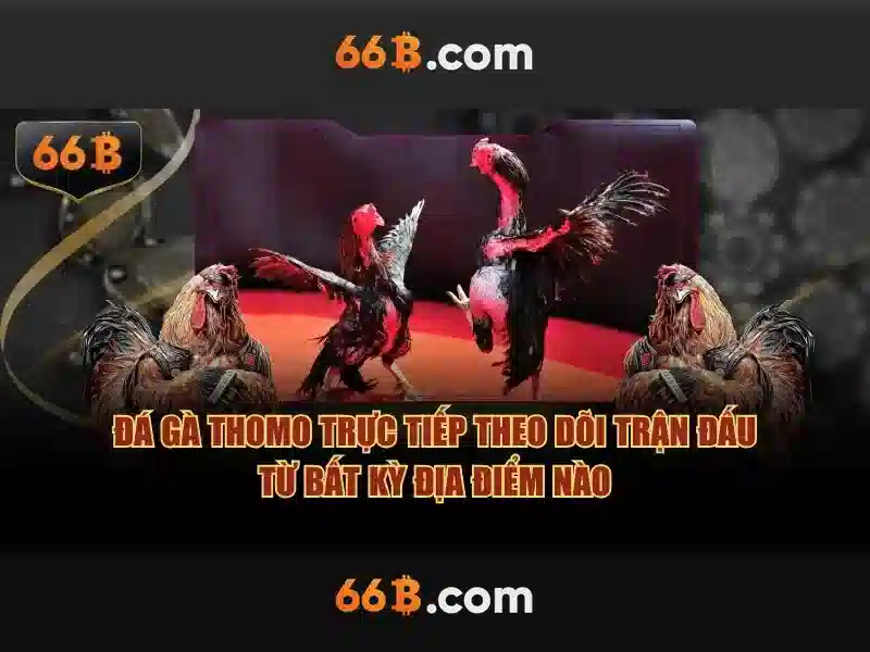 66b là gì