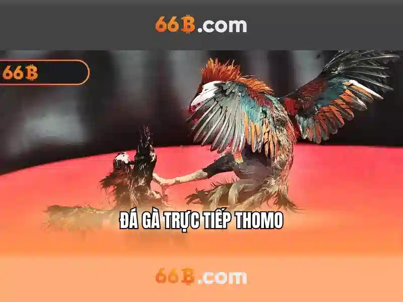 66b có lừa đảo không – Sự thật, trải nghiệm và đánh giá