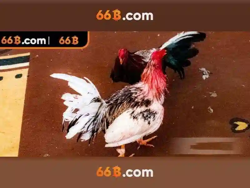 66B: Mô hình ngôn ngữ lớn với quy mô 66 tỷ tham số
