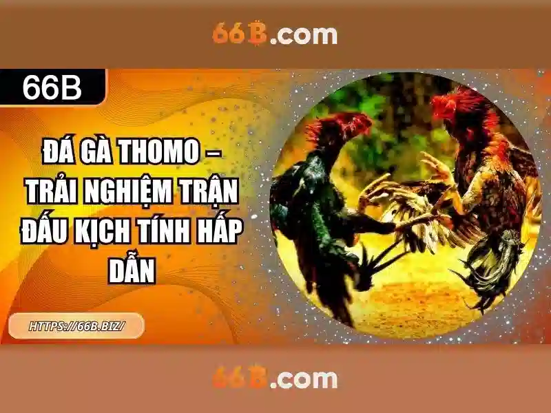 Thách thức và hạn chế