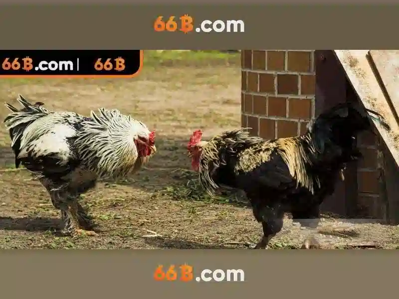66B là gì và vai trò của nó trong trí tuệ nhân tạo ngôn ngữ Giao diện nhà cái hoàn hảo