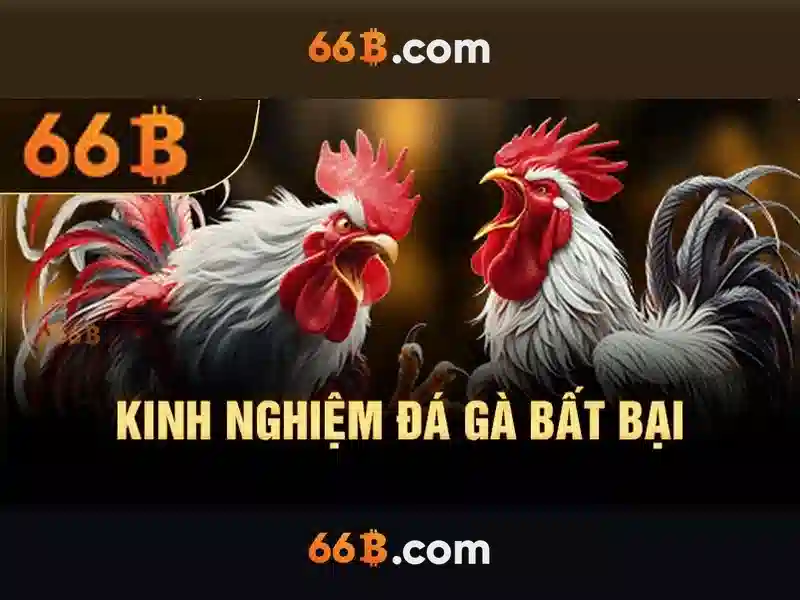 Điểm nổi bật của 66B