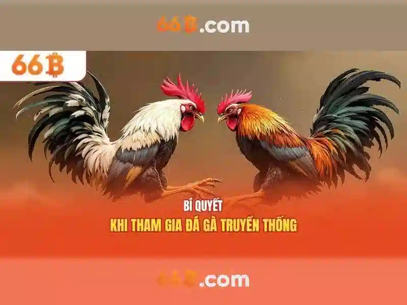 Giao diện nhà cái hoàn hảo