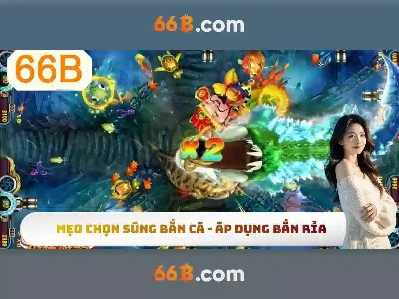 66B là gì?