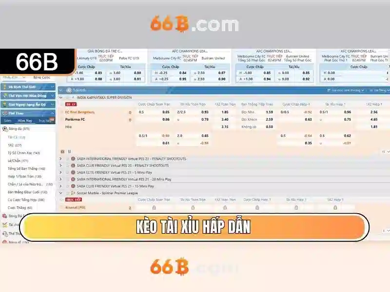 66b trong công nghệ