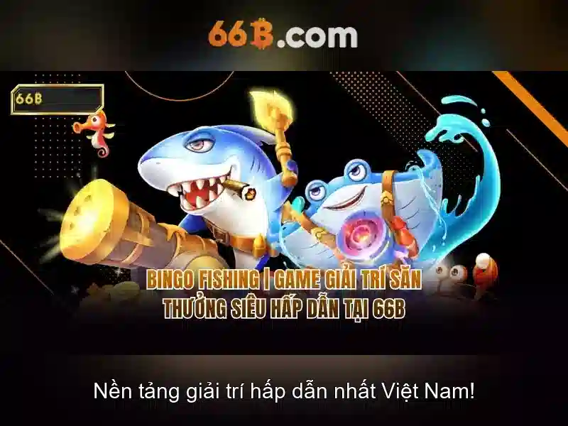 66b là gì?