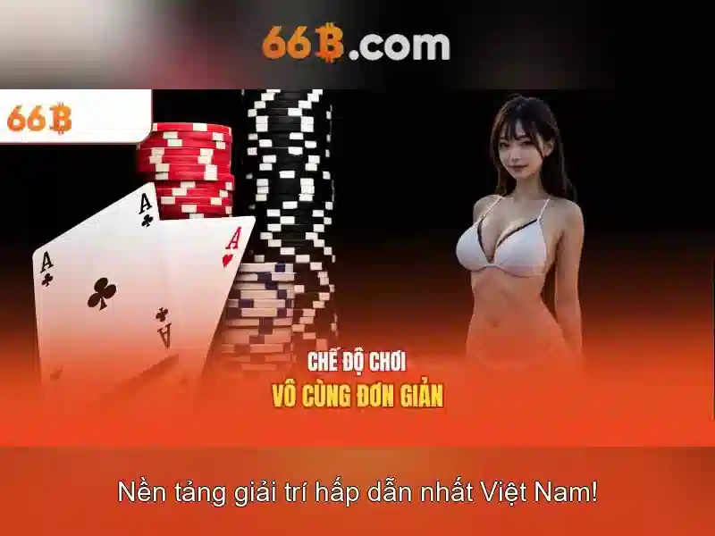 66B là gì?