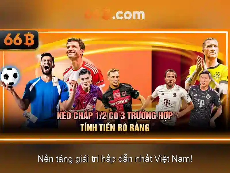 66b trong mắt số liệu và thực tiễn Giao diện nhà cái hoàn hảo