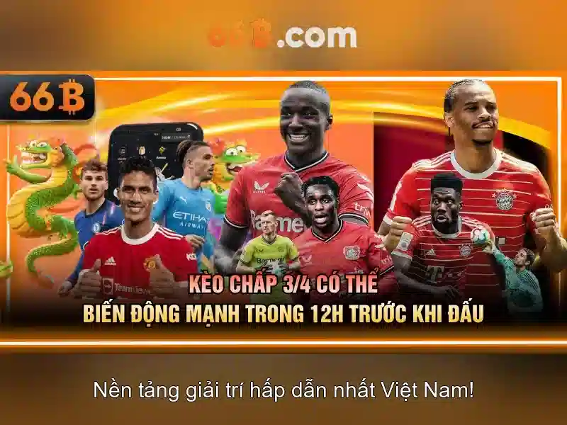 Giới thiệu về 66b