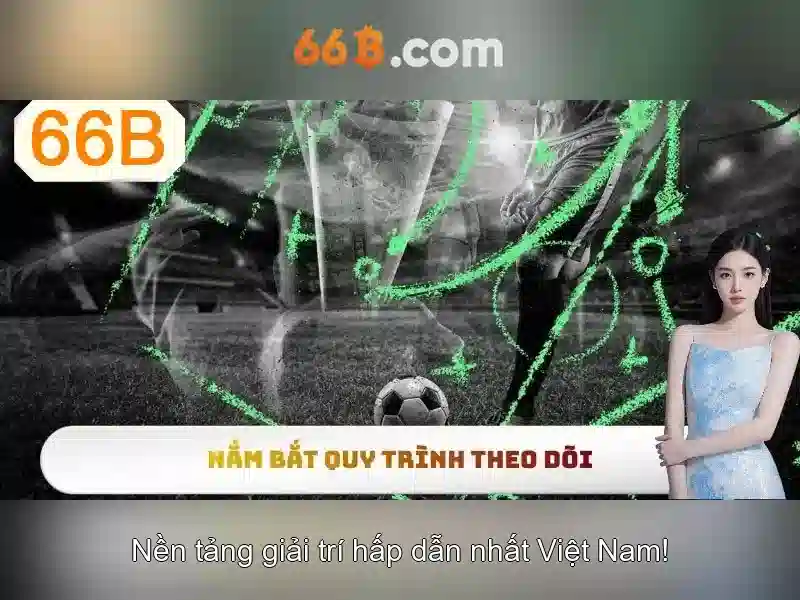 66B là gì và tại sao nó quan trọng