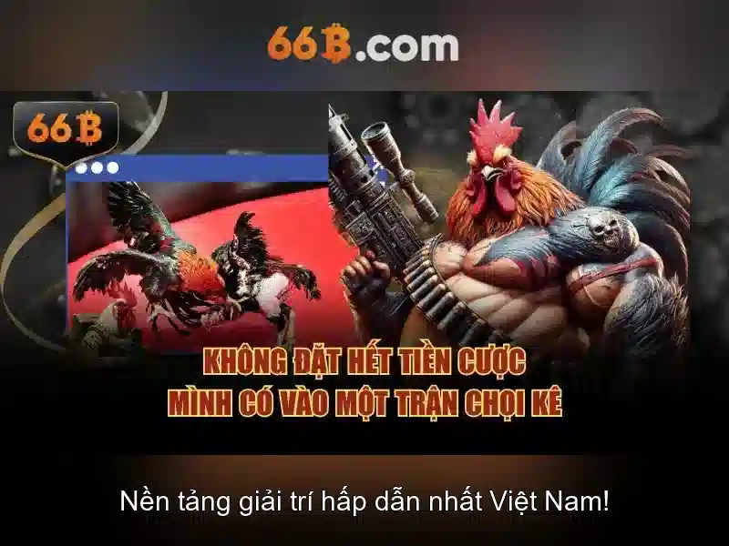 66b là gì