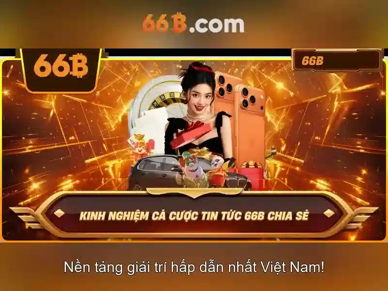 66b là gì?