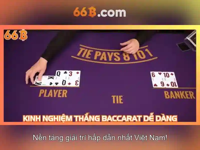 Hiệu suất và hạn chế