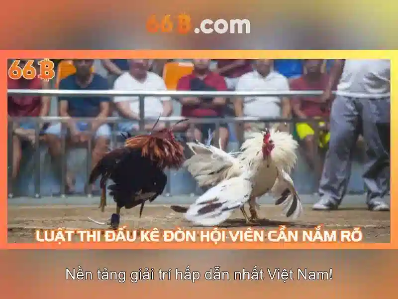 Ứng dụng tiềm năng và thách thức