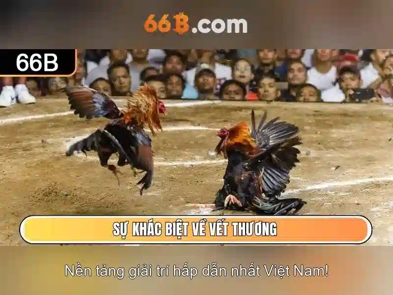 66b: Khám phá công nghệ và tác động