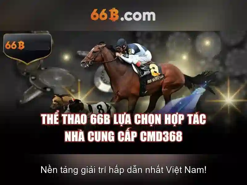 Dac diem ki thuat cua 66B
