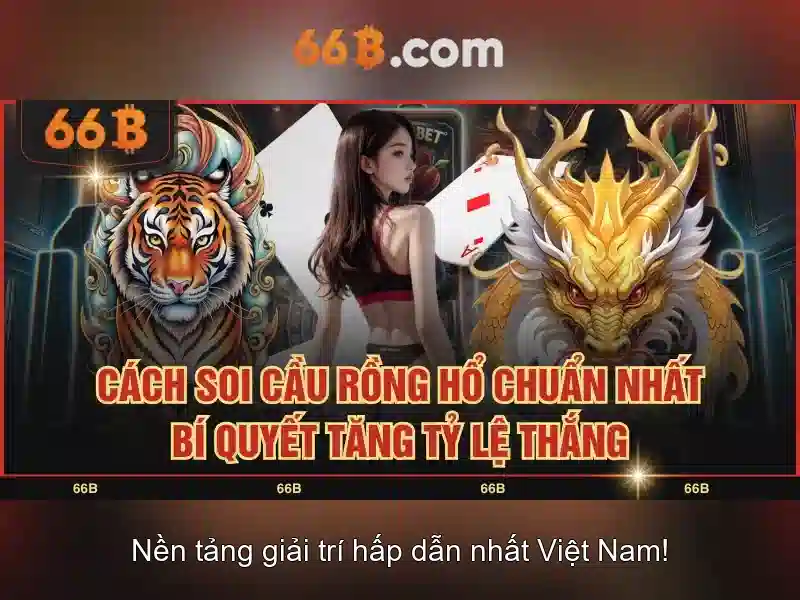 Khái niệm về 66b