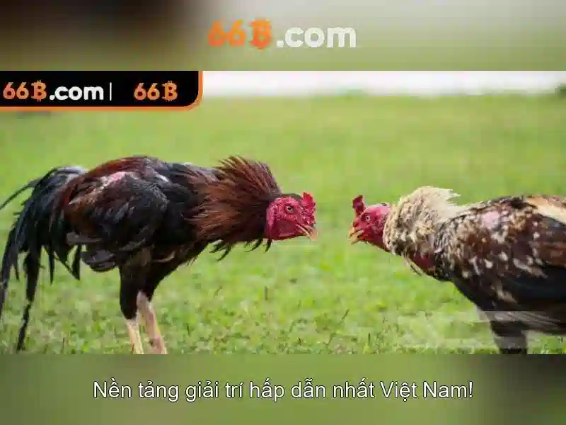 Kiến trúc và tham số của 66B