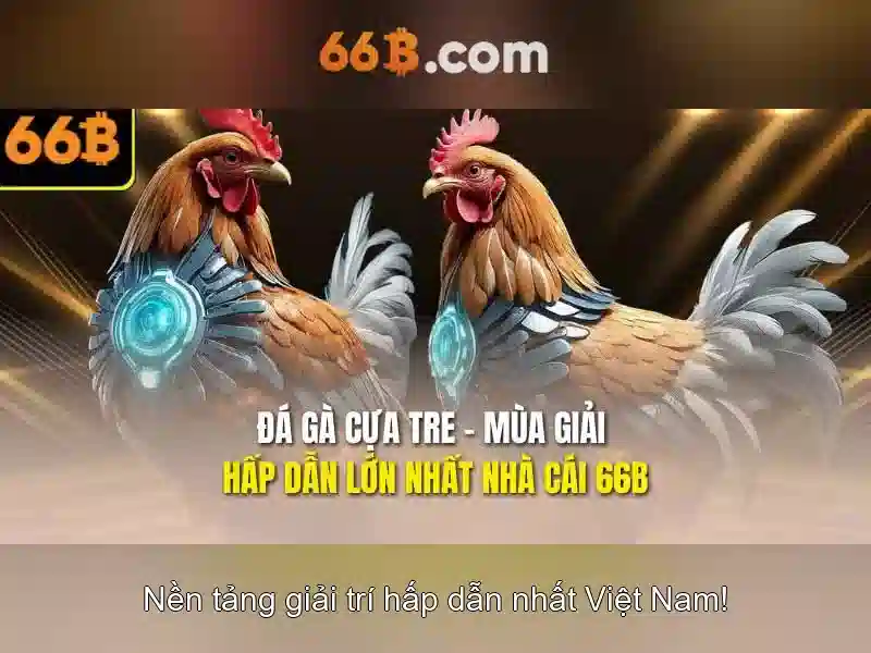 Kiến trúc và chức năng