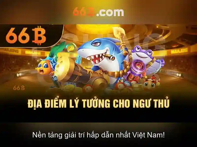 Khái niệm về 66B