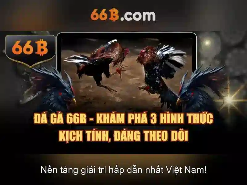 Cấu trức và quy mô