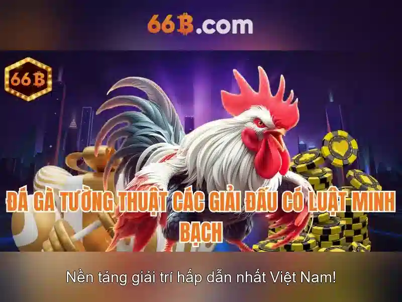 cam-bao-minh-bach