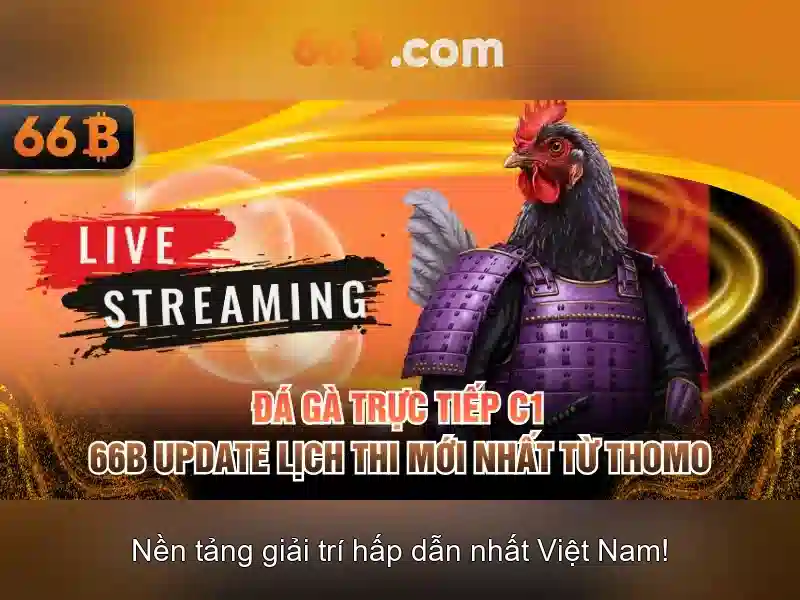 66b và những điều thú vị