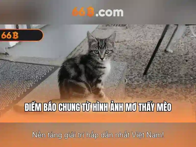Nguồn gốc và ý nghĩa