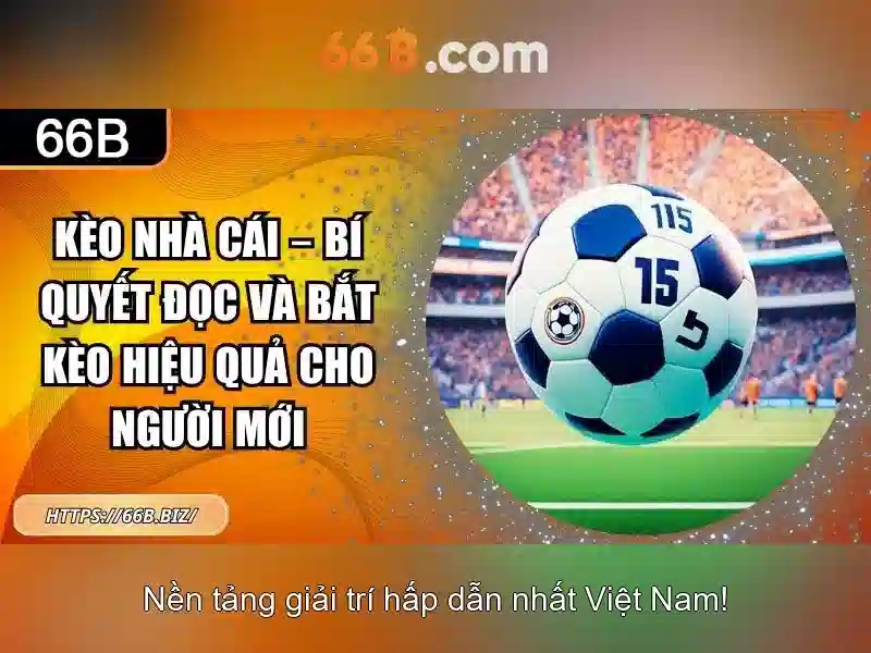 Đánh giá hiệu suất và giới hạn