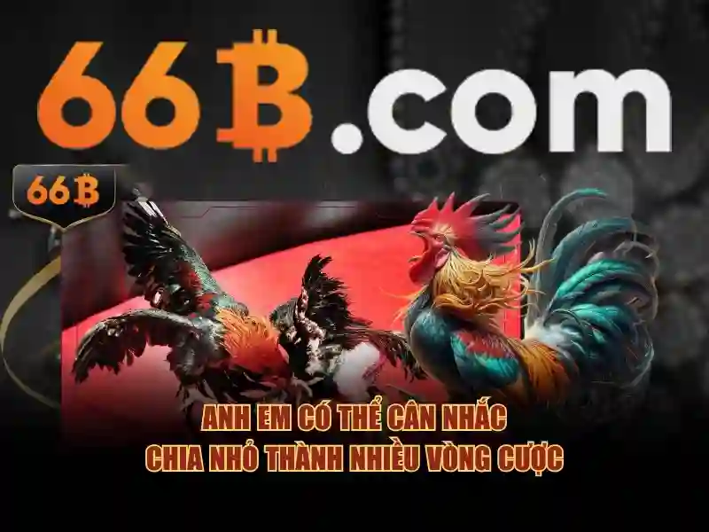 Kiến trúc và quy mô của 66B