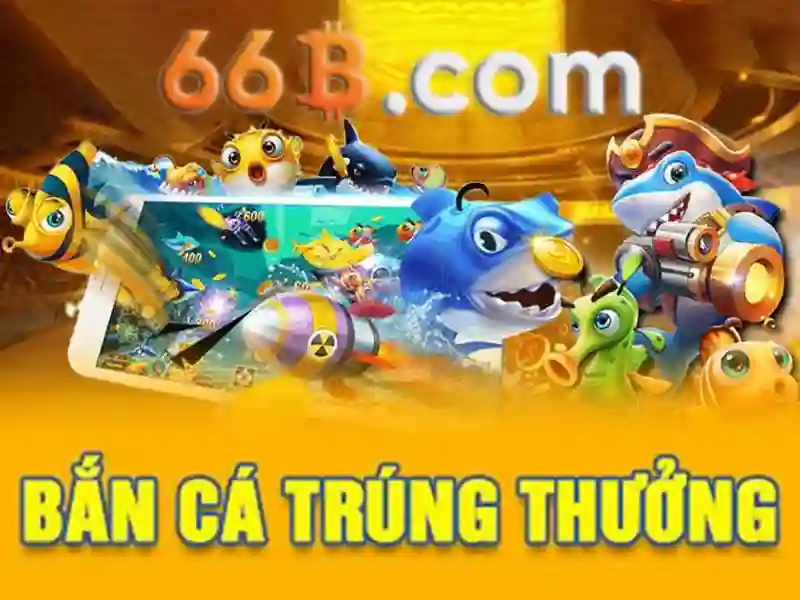 66b: một khái niệm nổi bật