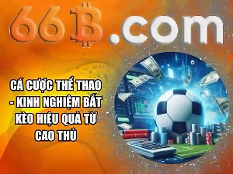Giao diện nhà cái hoàn hảo