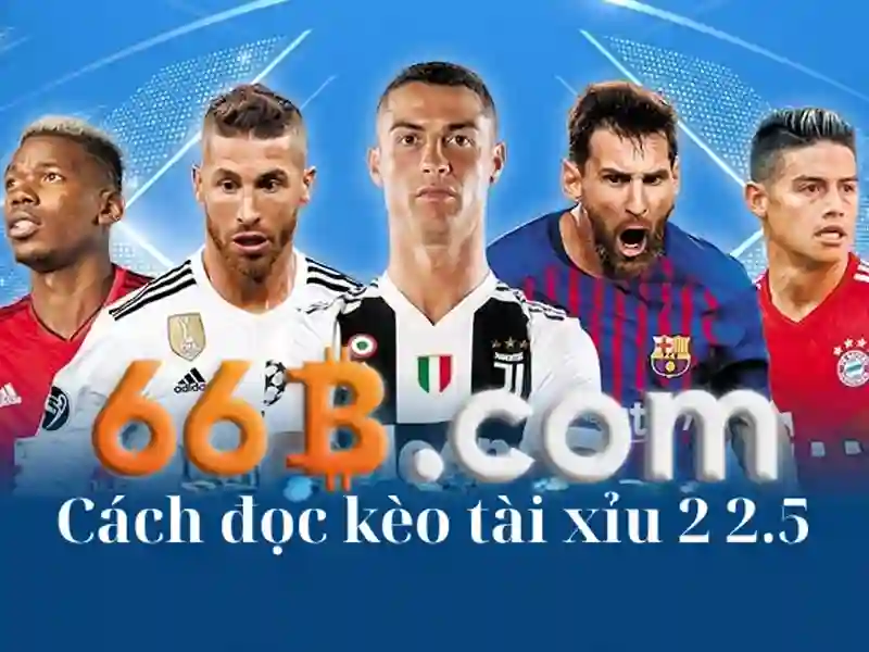 Kiến trúc và tham số của 66b