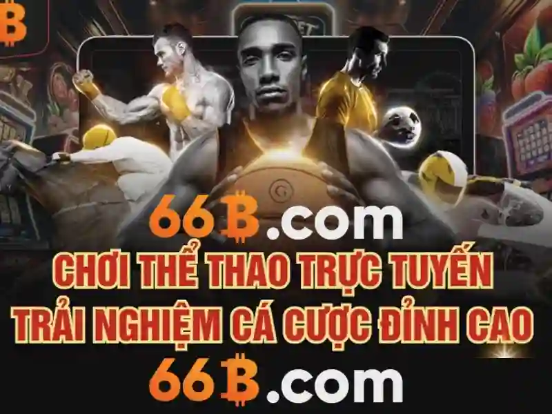 66b: Ý nghĩa và ứng dụng
