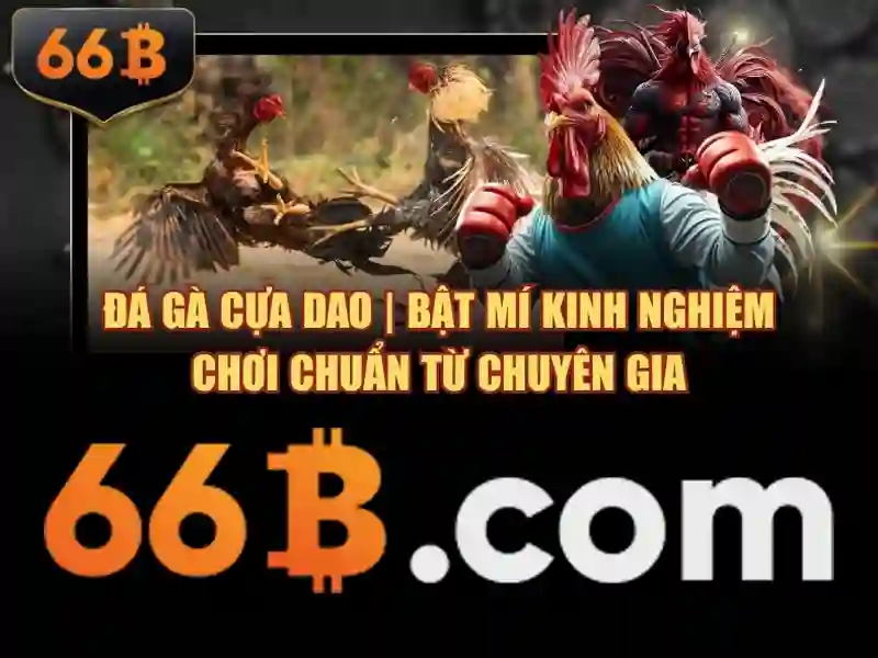 So sánh với các mô hình khác