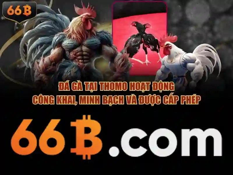 66B: một khái niệm hiện đại