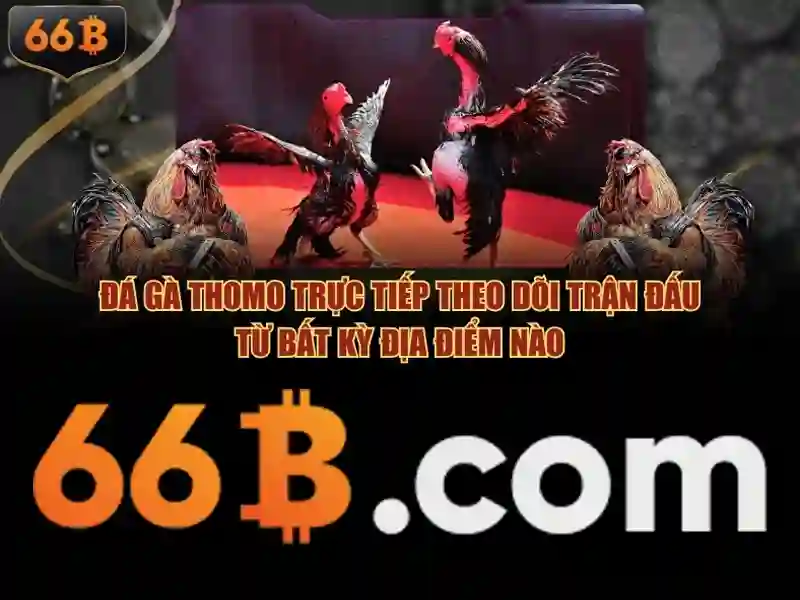 Giao diện nhà cái hoàn hảo