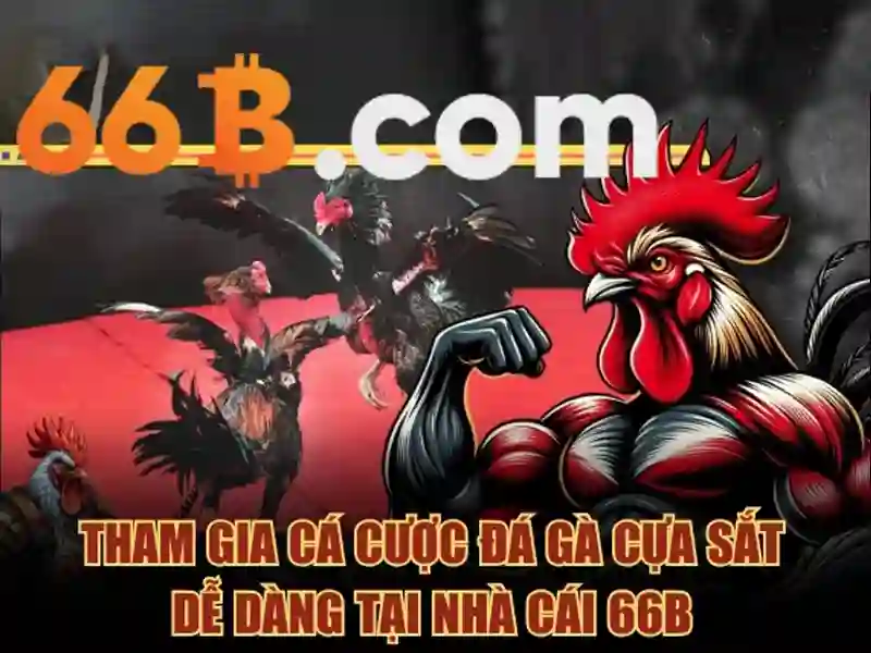 Giao diện nhà cái hoàn hảo