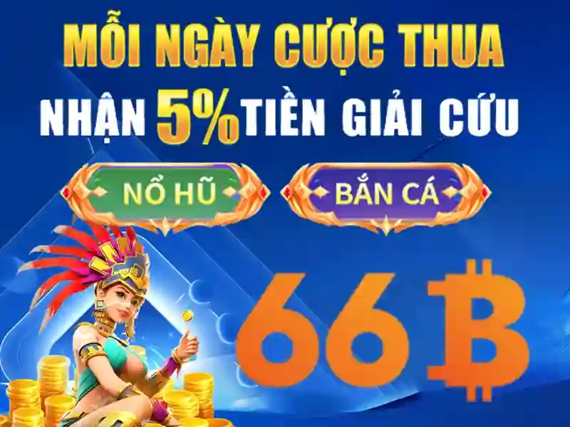 Cấu trúc và đặc điểm của 66B