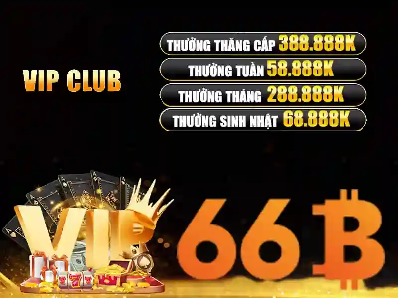 Giới thiệu về 66B